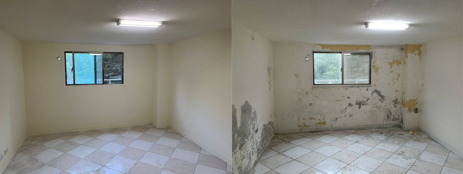 牆面批土與補漆完工照